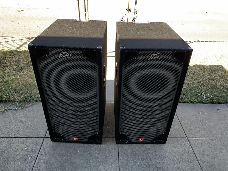 Peavey SP218 Passive Dual Subwoofer Pair clean Reverb