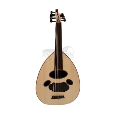 Corsaro Music™11 String Arabic Oud Gigbag String Set Plectrums - Ships from the US🇺🇸 image 2