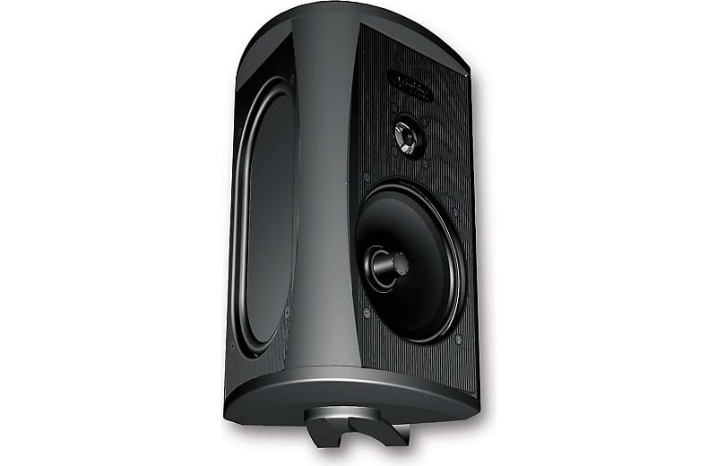 Definitive Technology AW 5500 Outdoor Speaker (Single, Black)