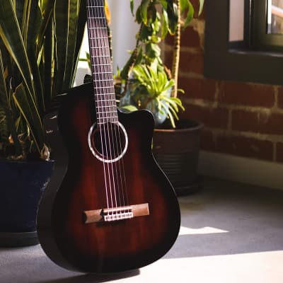 Cordoba Fusion 5 Sonata Burst Acoustic-Electric Cutaway Nylon String Guitar, Fusion Series image 12