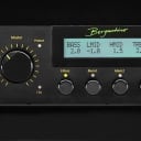 Bergantino B-Amp, 700 Watt Bass Amplifier *On Order, ETA = May 1st, 2021
