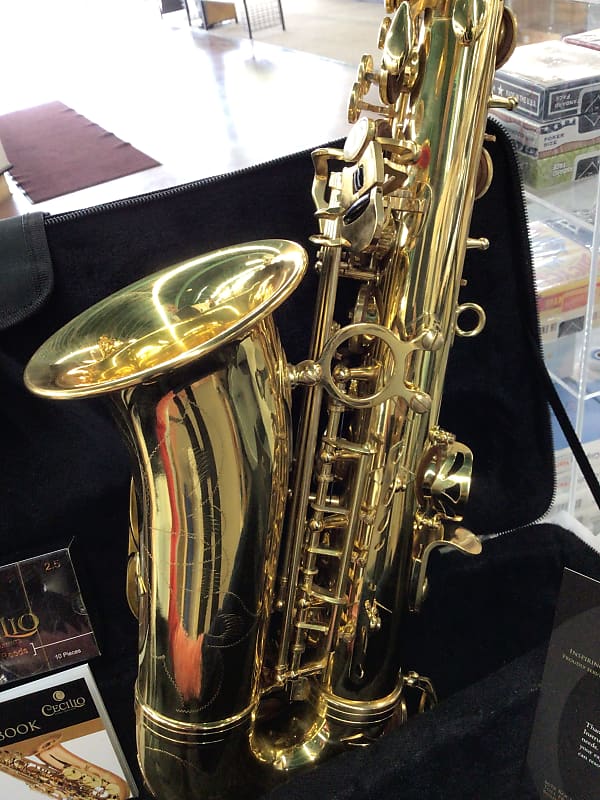 CECILIO MENDINI MASL HS ALTO SAX 2008 Brass Reverb