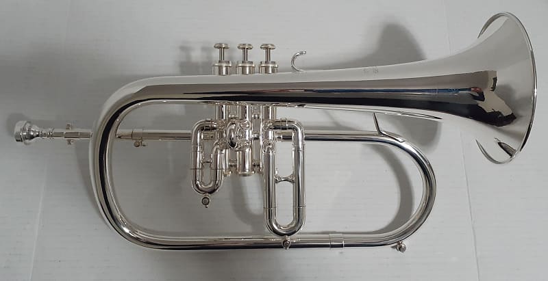 Getzen ETERNA 895S- 3 Valve FLUGELHORN , Mouthpiece & 2 Handle Combo Hard  case . 1972-1975 - Silver plated