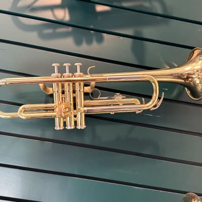 Pocket Trumpet Brass Finish Awesome Sounds Quality Bb W/Case+Mp Gold