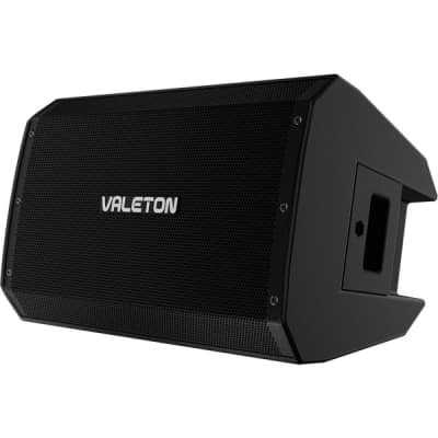 Valeton VFR-110 FRFR-Aktivlautsprecher image 2