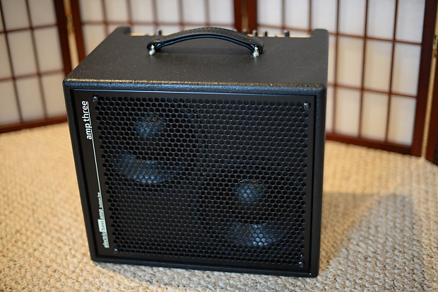 AER Amp Three Bass Amp Mint Boutique Gig Bag FREE Shipping Reverb