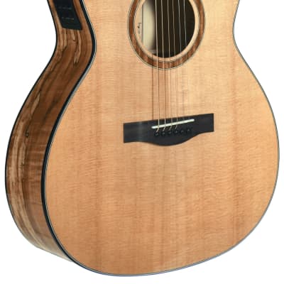 Teton STA130SMCENT Spruce/Spalted Maple Grand Auditorium Acoustic-Electric for sale