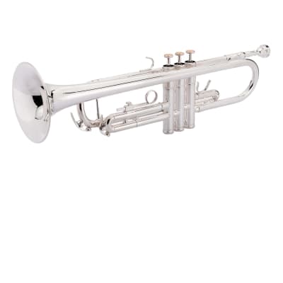 Intermediate Trumpet - brass image 2