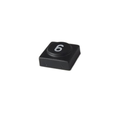 Oberheim - Xpander , Matrix 12 - Black panel switch cap with numeral '6'