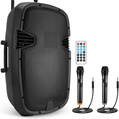 Binaural Enthusiast B1-E Dummy Head with BE-P1 Binaural