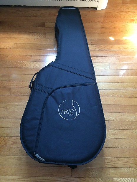 Godin tric parlor deluxe case top