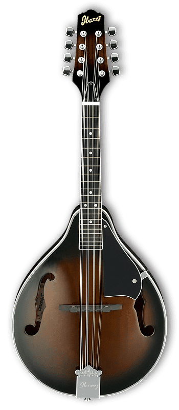 ibanez アイバニーズ マンドリン M510DVS 海外インポート ケース付 M510 | MANDOLINS | ACOUSTIC GUITARS | PRODUCTS | Ibanez guitars