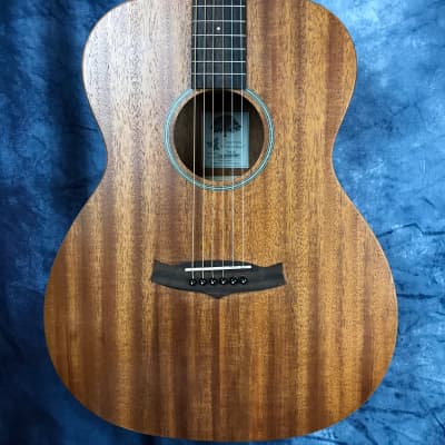 Tanglewood TW2E Winterleaf Electro Acoustic Guitar for sale