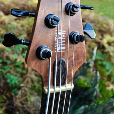 Manton Customs Ascendant 5 String Bass - African Rosewood, Nordstrand Sting Ray Pickup image 4