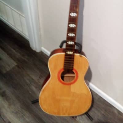 Harmony Stella  H928 Parlor Guitar Project image 4