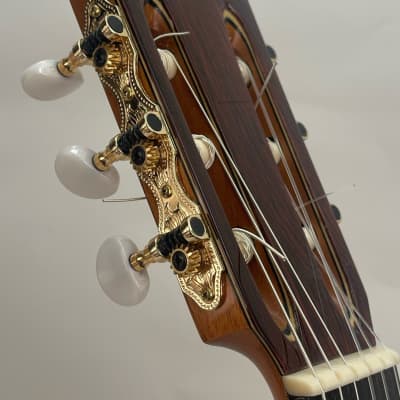 Superior Concert Mariachi Guitar 2023 - Nitro Gloss image 5