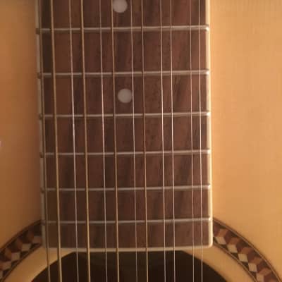 Washburn Heritage Seires D10S/ 12-String Acoustic/Dreadnought Guitar Natural image 12