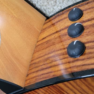 Taylor 217e-SB Plus LTD 50th Anniversary Acoustic Electric Guitar, Tobacco Sunburst, Taylor Case image 12