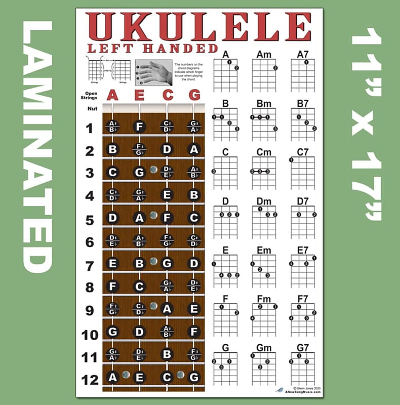 Laminated Ukulele Fretboard Notes & Easy Beginner Chord Chart 11x17  Instructional Poster for Soprano Concert Tenor Uke by A New Song Music