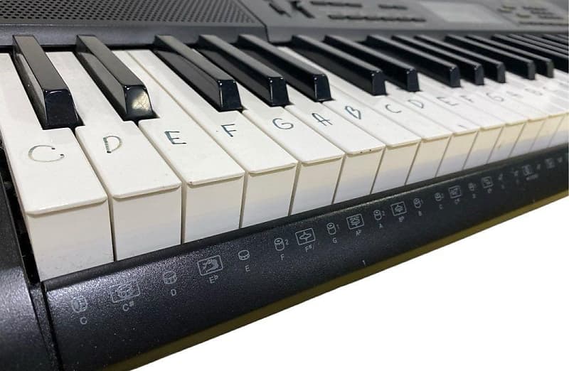 Casio CTK-3200 61-Key Portable Keyboard | Reverb