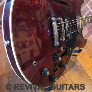2024公式店舗 Aria Japan Matsumoku Vintage 1984 Pro Acoustic Semi TA-30 II ギター