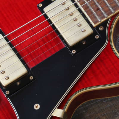 Jay Turser Serpent Les Paul Stle Guitar Trans Red Flametop + Case image 4