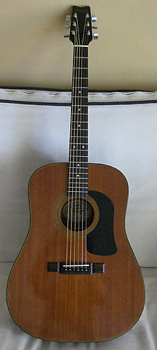 Washburn d10m shop