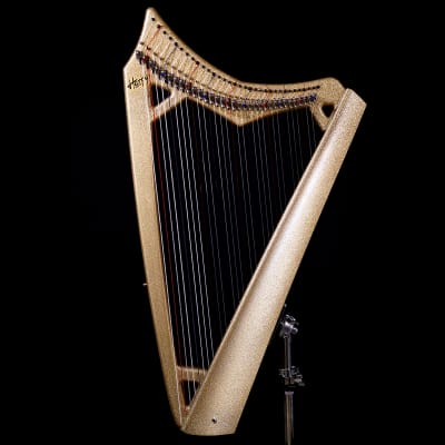 弦楽器 AOYAMA EXTRA HARP STRING 弦楽器 AOYAMA EXTRA HARP STRING Aoyama Harp | ハープ