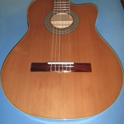 Antonio Hermosa AHT-10CE Thinline classical acoustic/electric Natural image 2