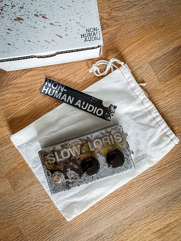 Non-Human Audio Slow Loris | Reverb