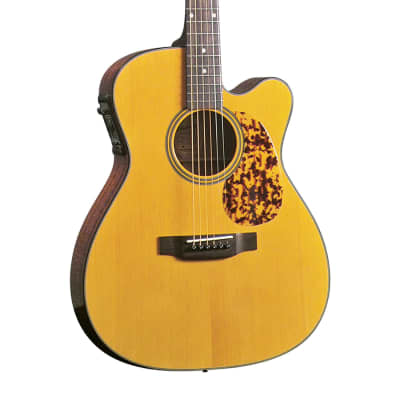 Blueridge BR-143CE Electroacoustic Guitar for sale