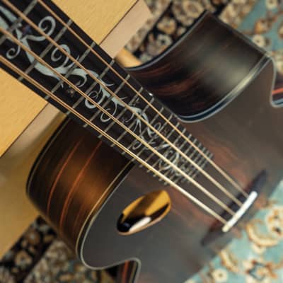 Michael Kelly Guitars Dragonfly 4 Port Java Ebony Acoustic Electric Bass 365504 809164025559 image 2