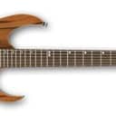 Ibanez MSM1 Marco Sfogli Signature Electric Guitar (Used/Mint)