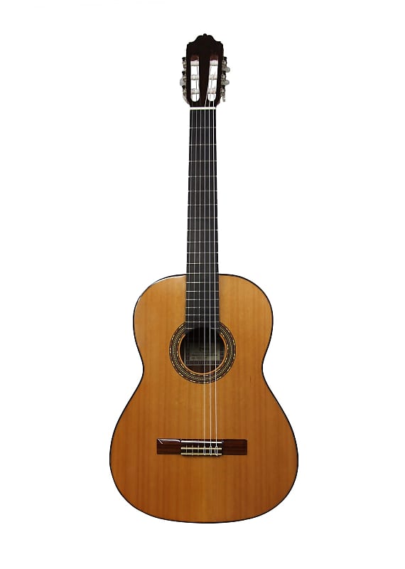 Lintage Guitars® - Cordes de guitare en nylon CS-01A - Guitare