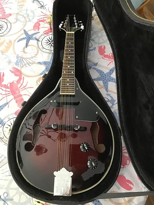 Johnson MA 115 e Mandolin with case Reverb