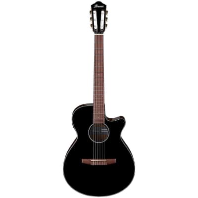 Ibanez AEG50N Nylon-String Acoustic-Electric Guitar for sale