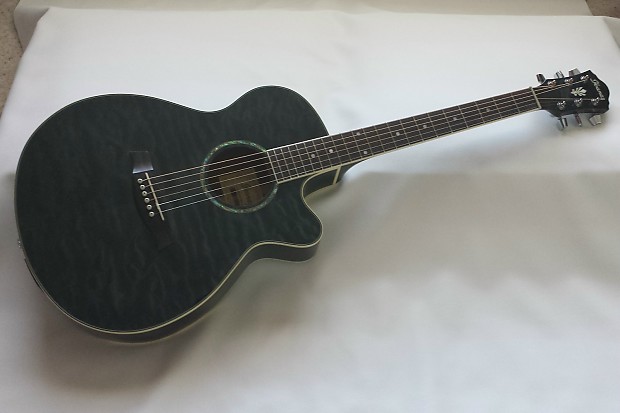 Ibanez aeg25e deals