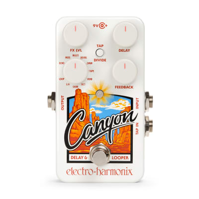 Electro-Harmonix EHX Canyon Delay & Looper Effects Pedal image 1