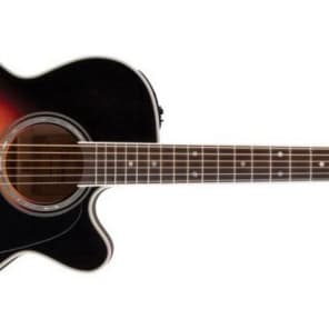 Takamine P6NC Acoustic Guitar (P6NC) image 3