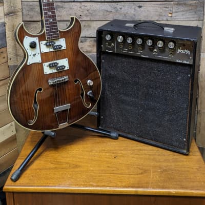 Norma EG673-2HR Teisco  Hollowbody Vintage MIJ Electric Guitar w/ Matching Amp image 1