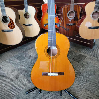 Yamaha CG-130SA Classic Acoustic Guitar w/ gig bag | Reverb