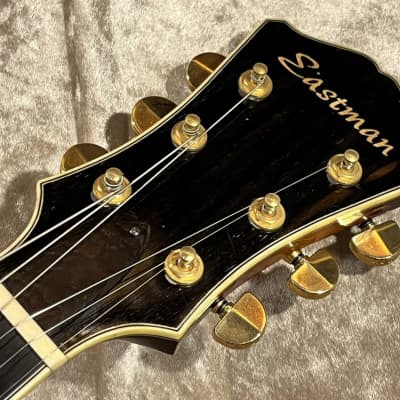 Eastman イーストマン T145SM/D サンバースト Eastman T145SM/D Sunburst [USED][GTK017] | Reverb Lithuania
