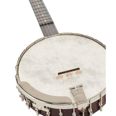 Recording King OT25-BR "Madison" Open Back Banjo, Scooped Fretboard. New with Full Warranty! image 9