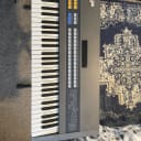 Roland JX-8P 61-Key Polyphonic Synthesizer