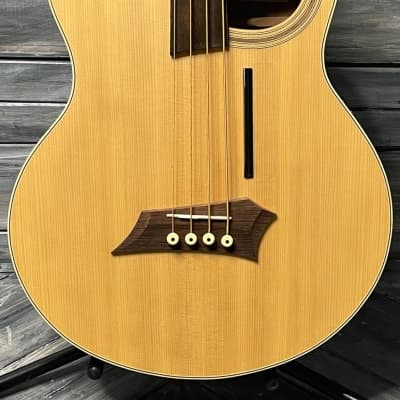 Mint Warwick RockBass Left Handed Alien Deluxe 4 String Fretless Acoustic Electric Bass for sale