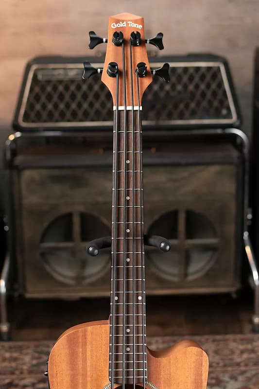 Gold Tone M-Bass Micro 23