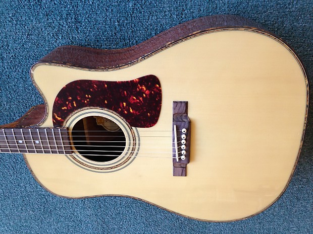 Washburn dk20cet sales