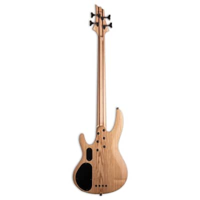 ESP LTD B-204SM Fretless Bass Guitar - Natural Satin image 2