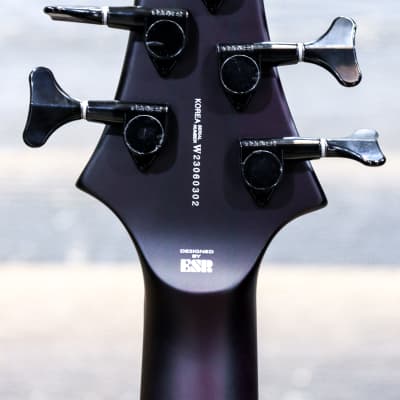 ESP LTD F-1005 See-Thru Black Cherry Sunburst 5-String Electric Bass #W23060302 image 6