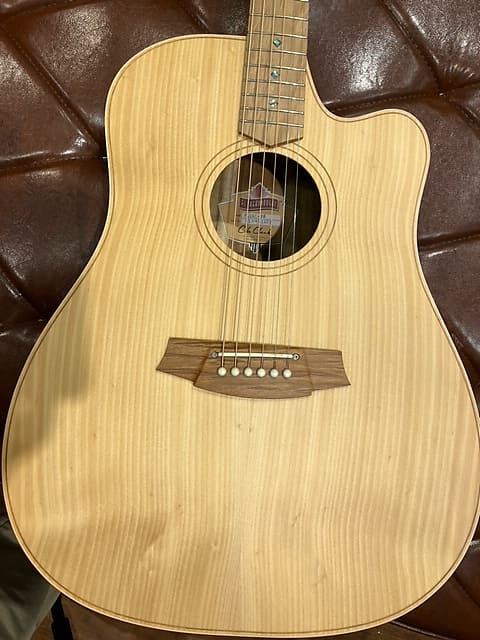 Cole Clark FL Dreadnought CCFL2EC-BB Bunya Top Blackwood Back and